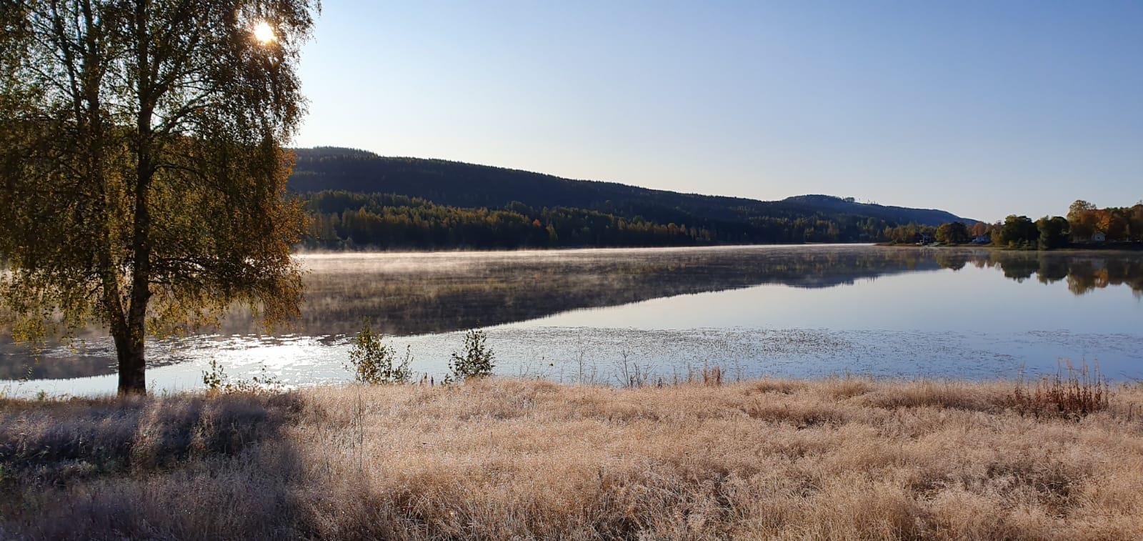 Naturcamping Lagom, Gräsmark/uddheden, Sweden