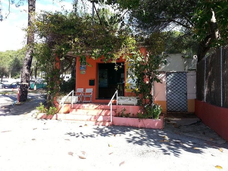 Camping La Buganvilla, Marbella, Spain