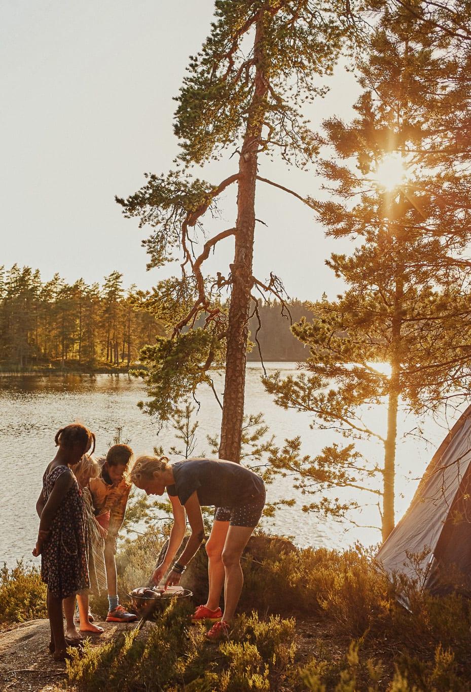 Forests, farms and lakes in Central Sweden