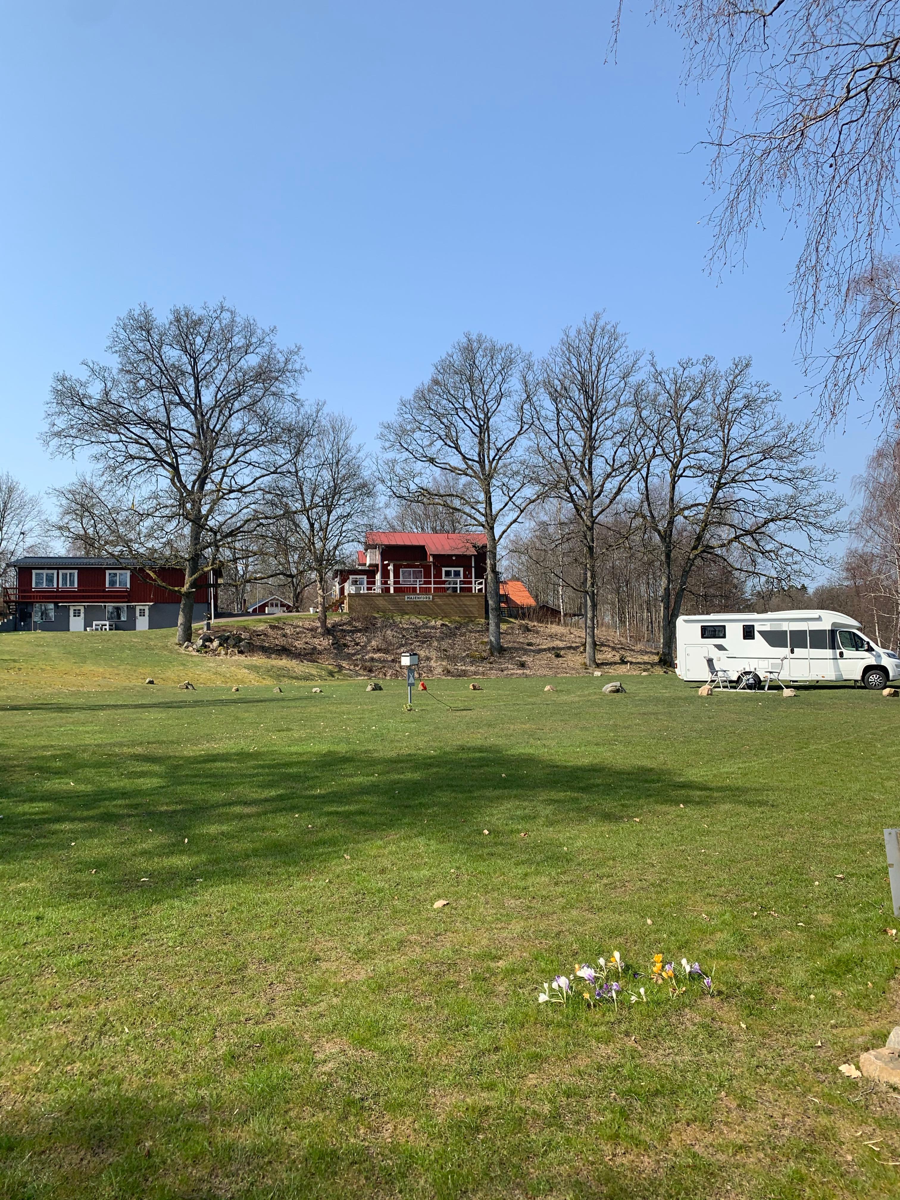 Den Sovande Älgen, Markaryd, Sweden