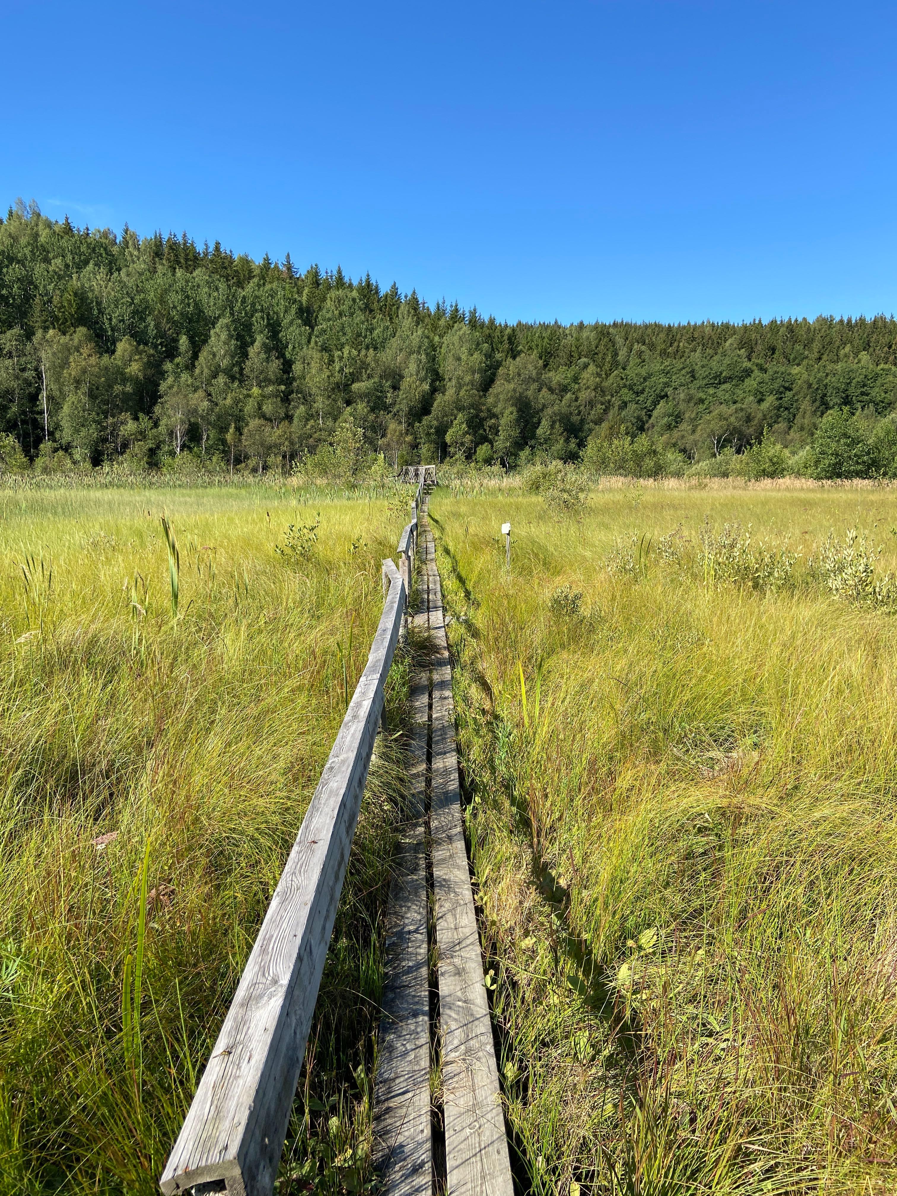 Vammervikens Camping, Gustavsfors, Sweden