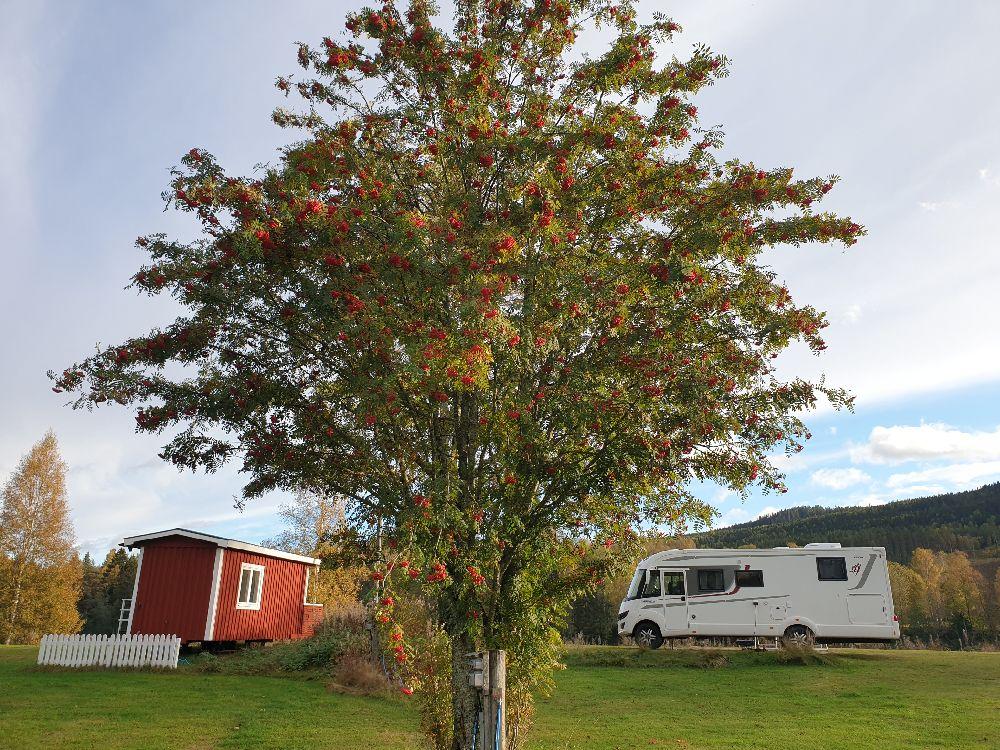 Björkebo Camping, Stöllet, Sweden