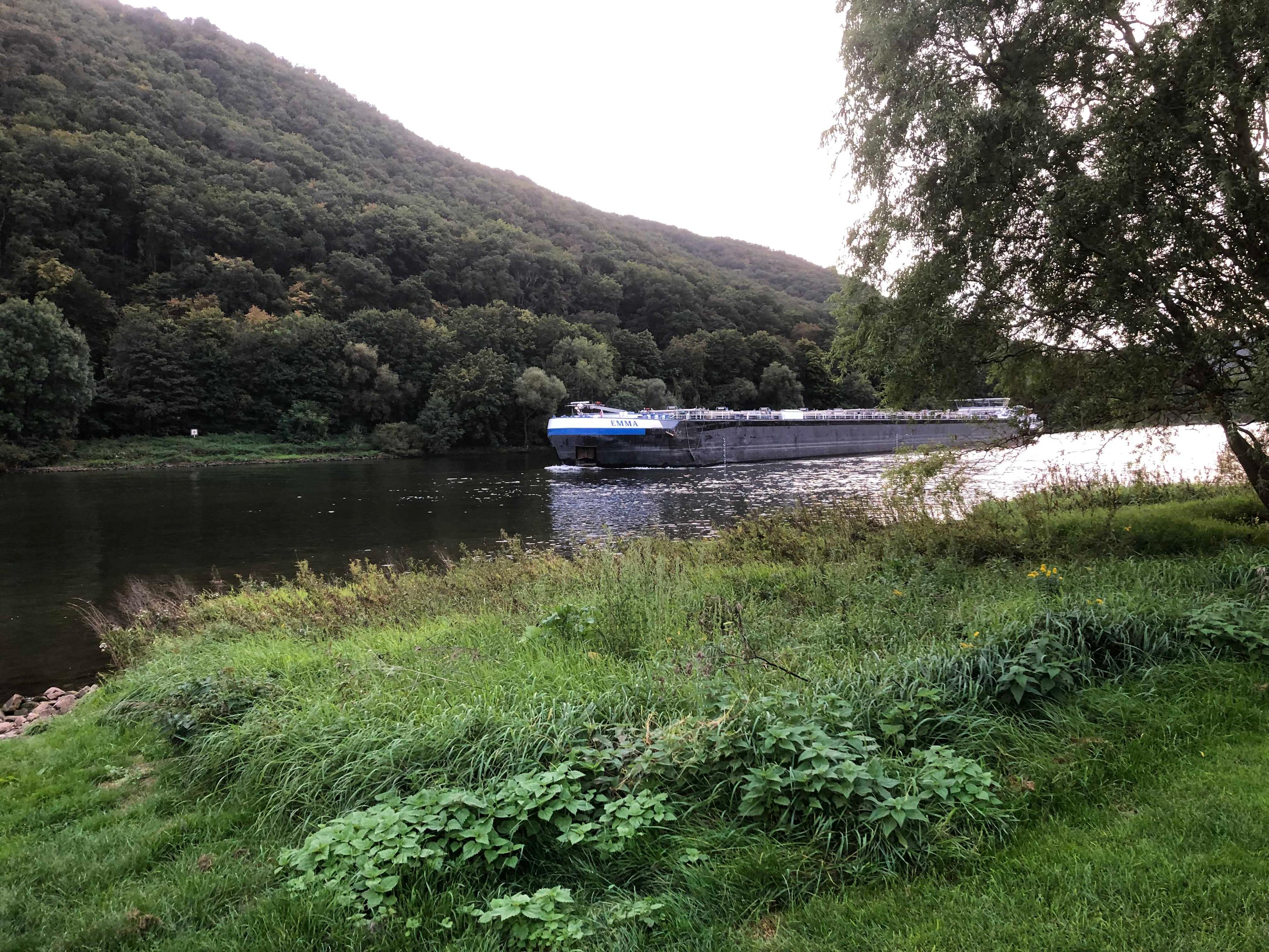 Campinginsel Sonnenwerth, Hatzenport, Germany