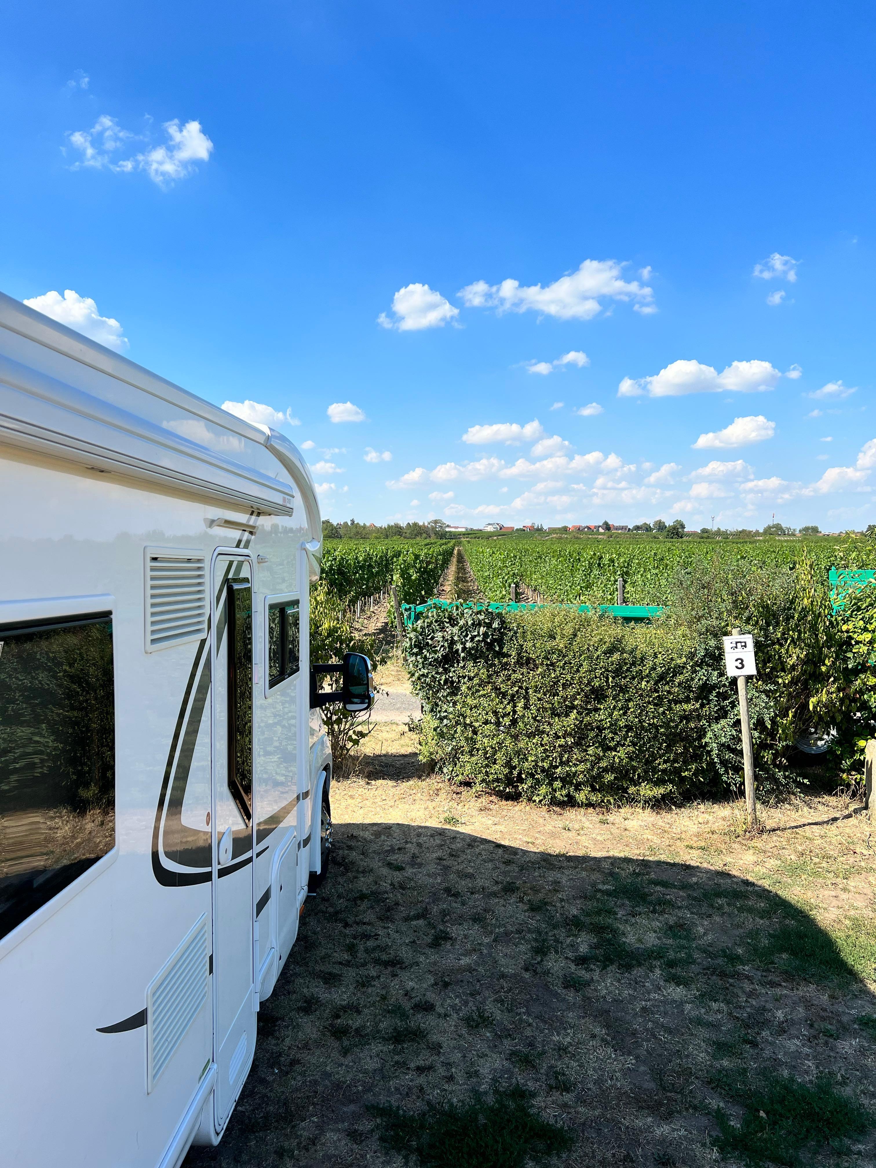 Weingut Margarethenhof, Forst, Germany