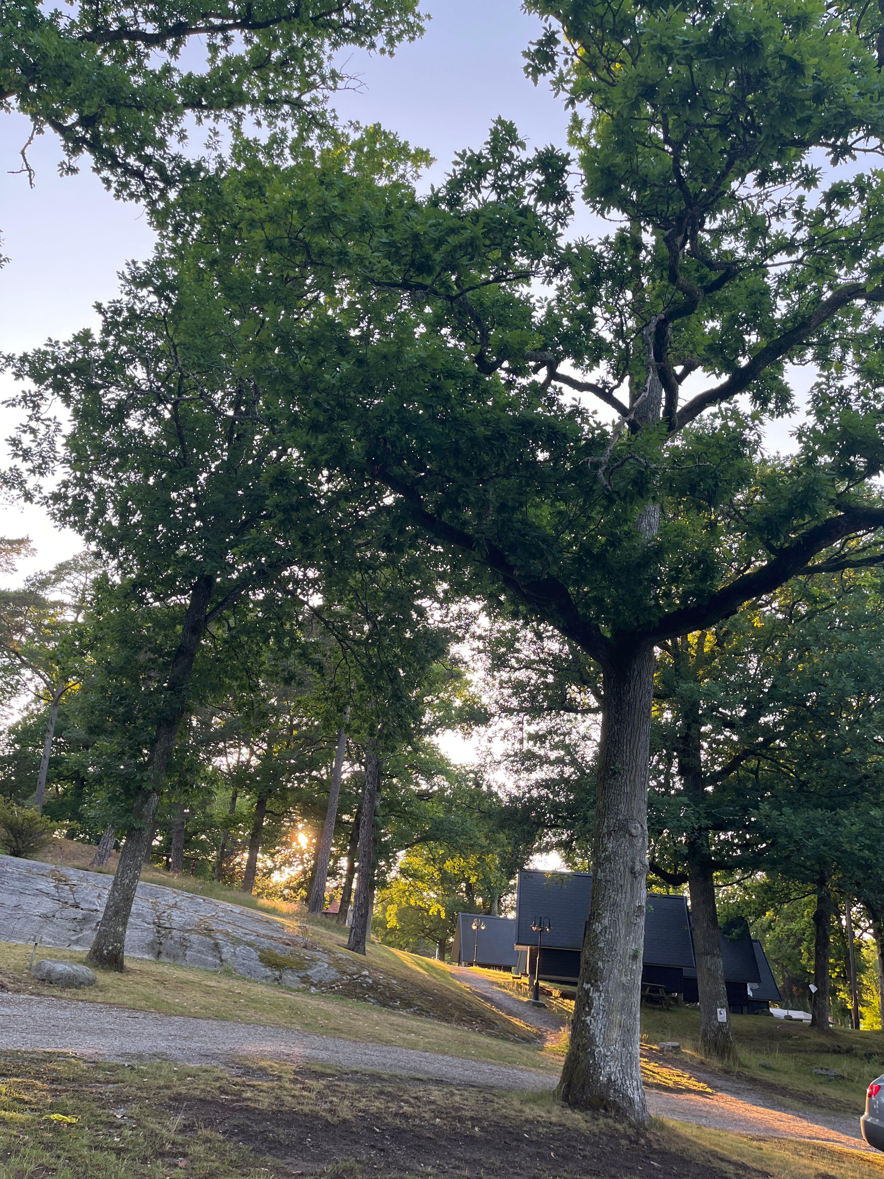 Stenungsögården, Stenungsund, Sweden