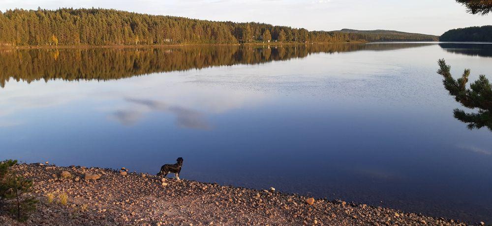 Laxede Camping, Edefors, Sweden