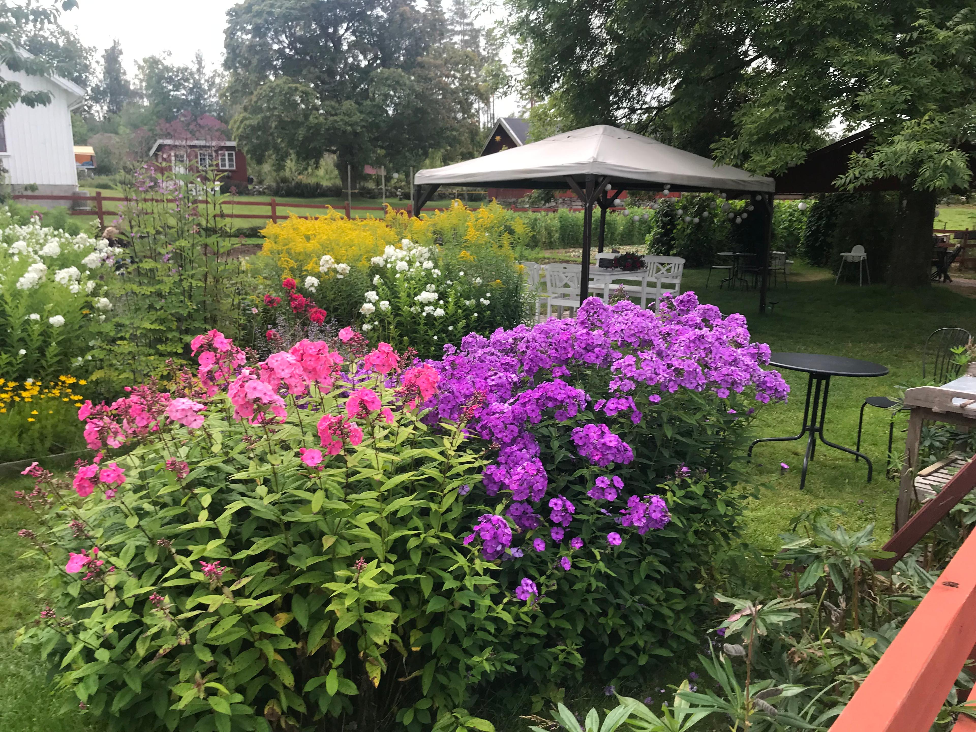 Töllås Fårgård, Henån, Sweden