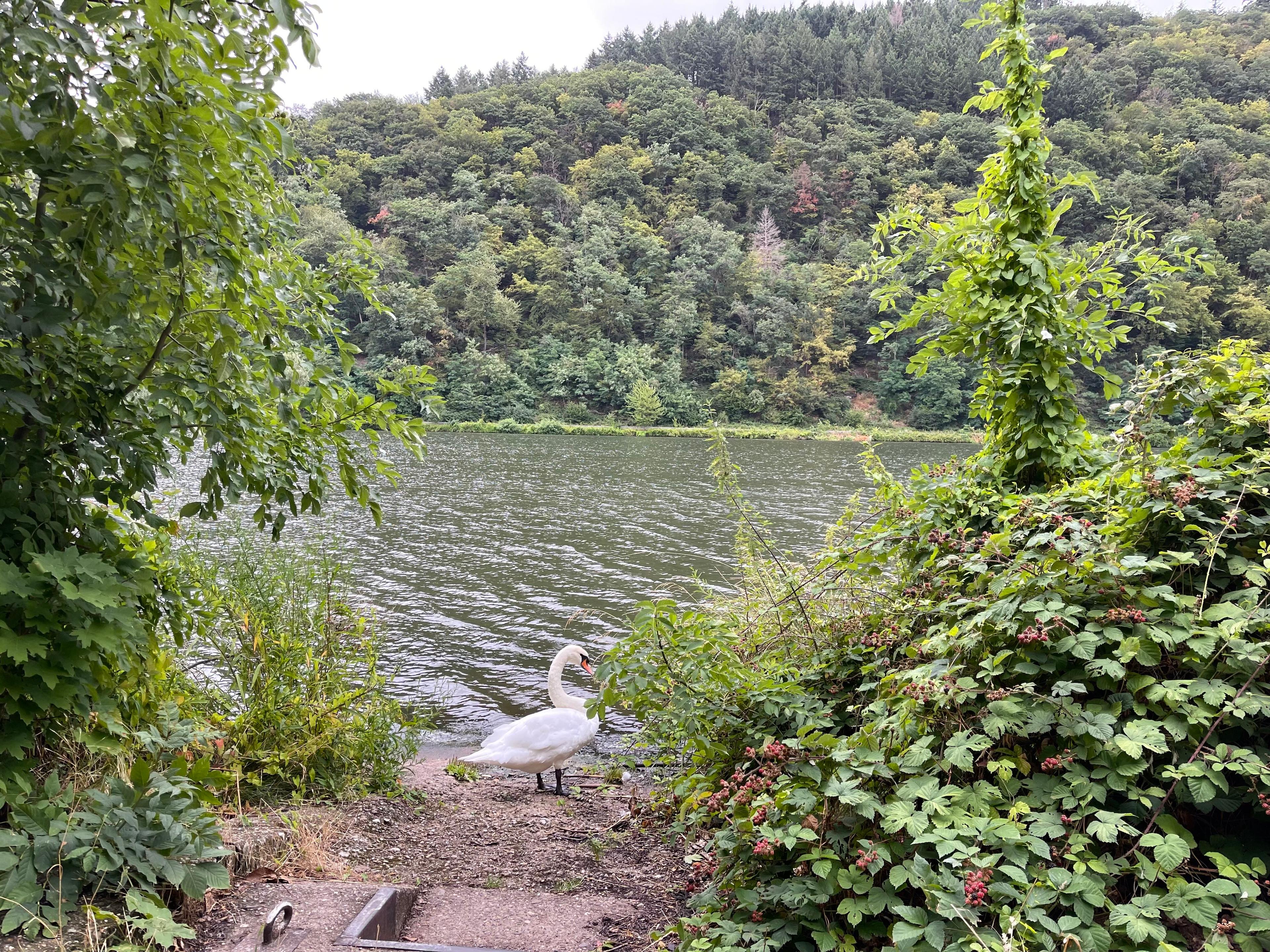 Wohnmobilstellplatz Zellerhof, Mehring, Germany
