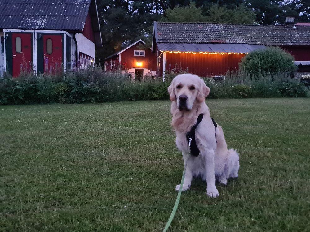 Ekebacken gård och Mc-camping, Börstig, Sweden