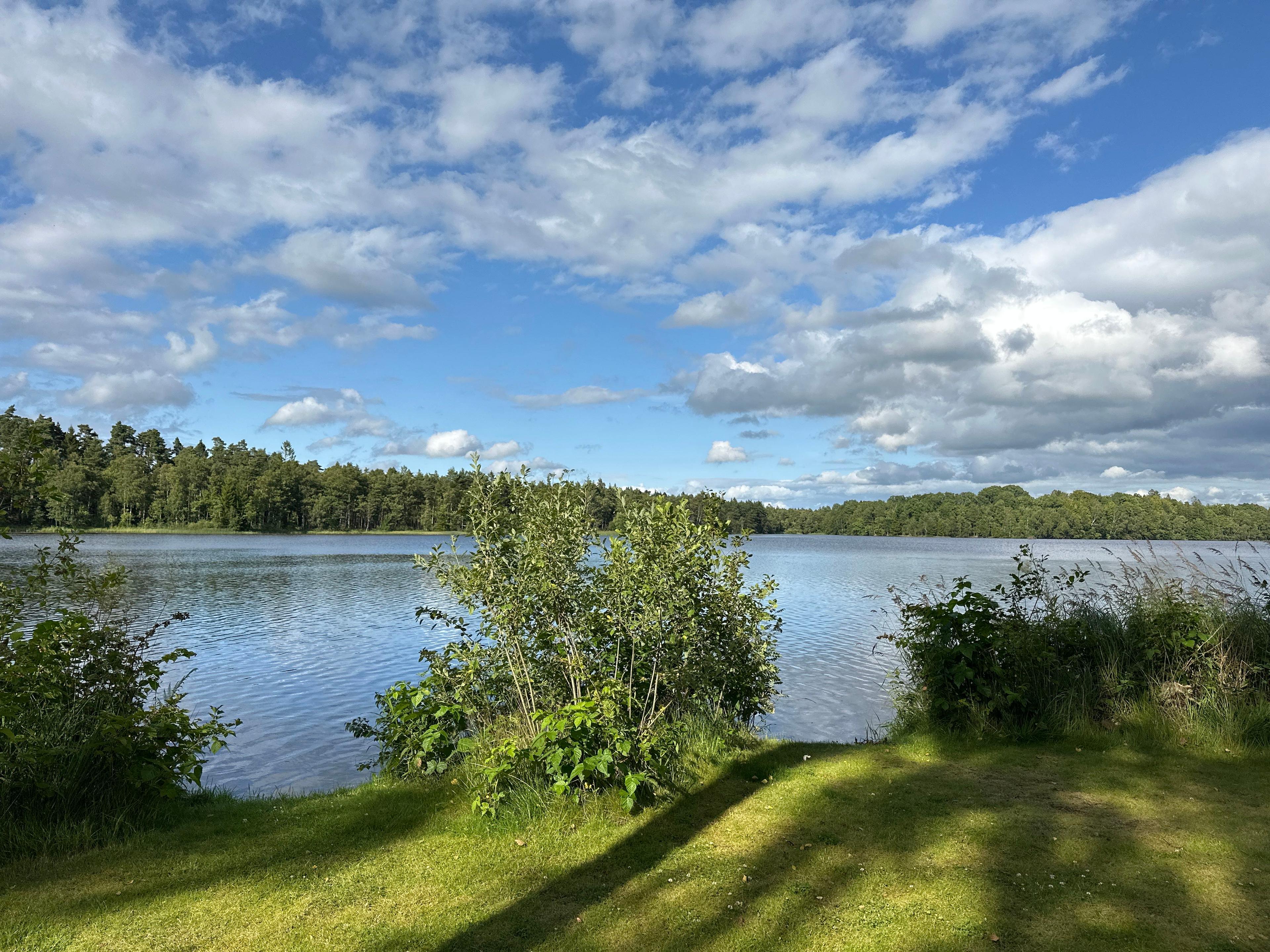 Den Sovande Älgen, Markaryd, Sweden
