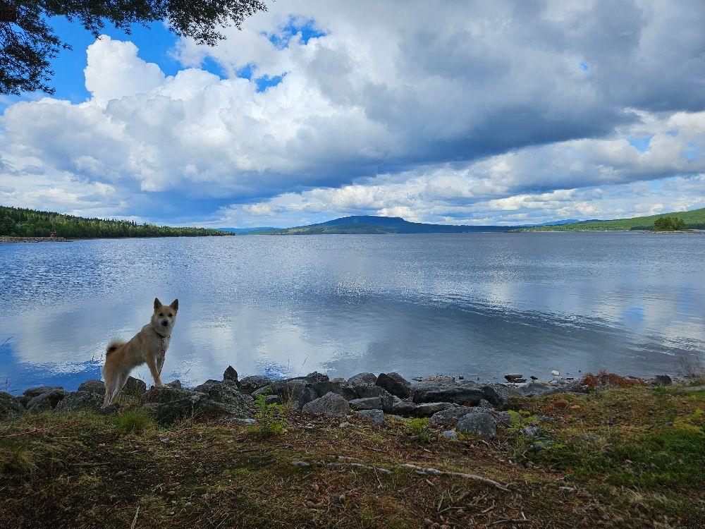 Gäddede Camping & Stugby, Gäddede, Sweden