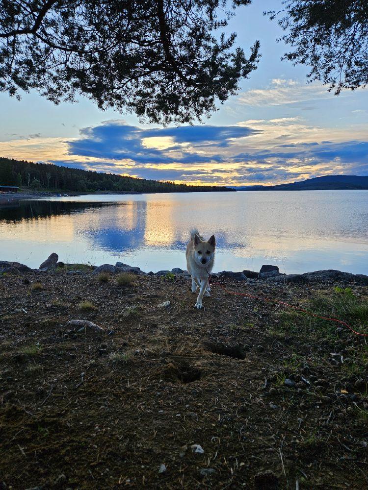 Gäddede Camping & Stugby, Gäddede, Sweden