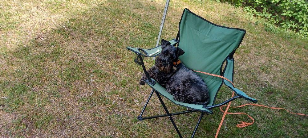 Linneryds Camping, Linneryd, Sweden