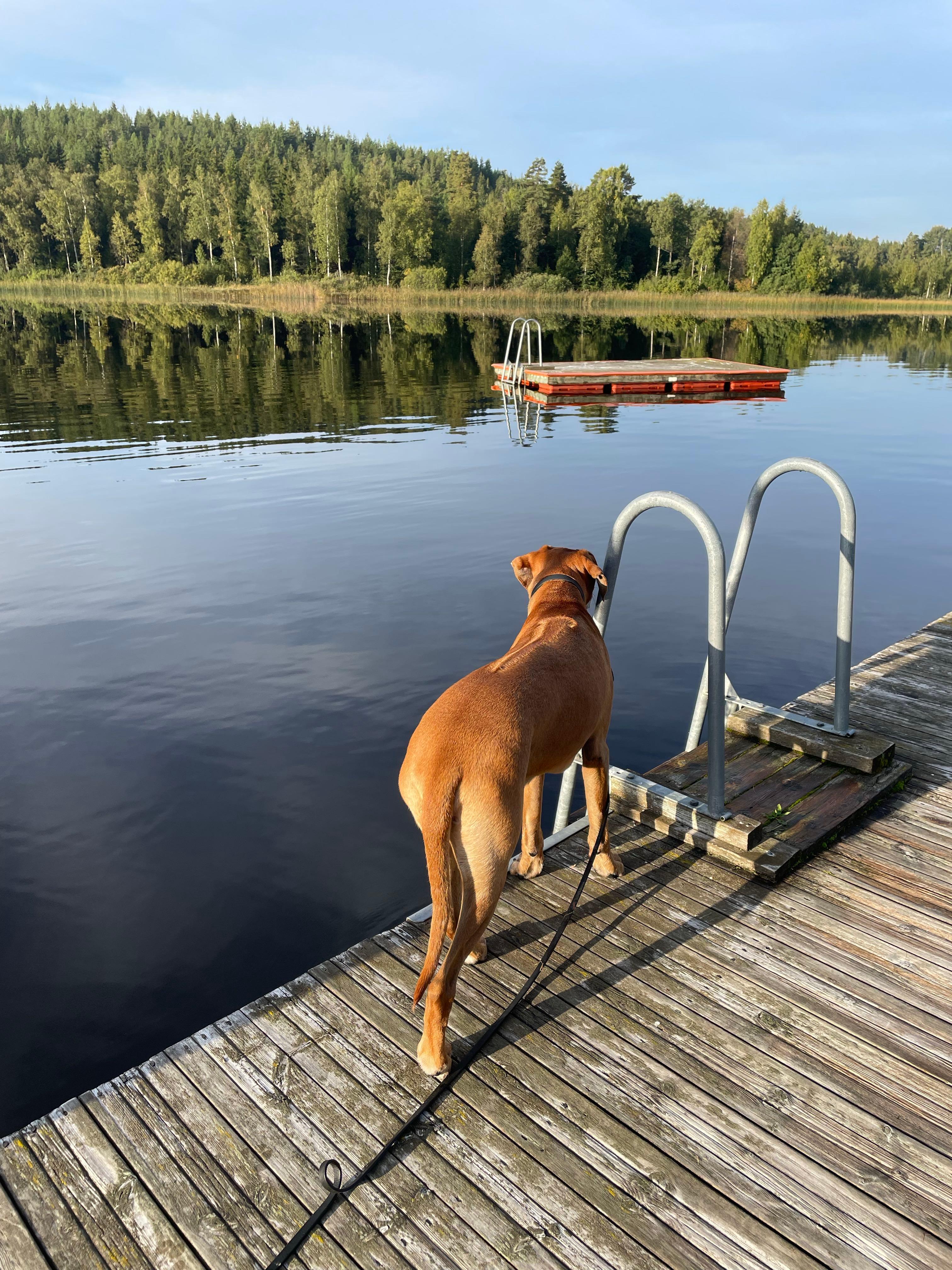 Amundebo Södergård, Ulrika, Sweden