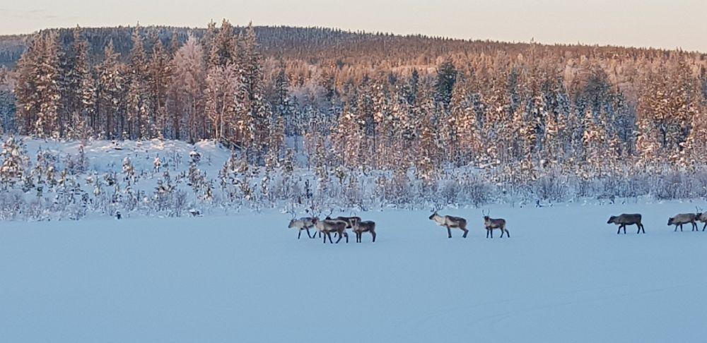 Hedlanda flygplats, Vemdalen, Sweden
