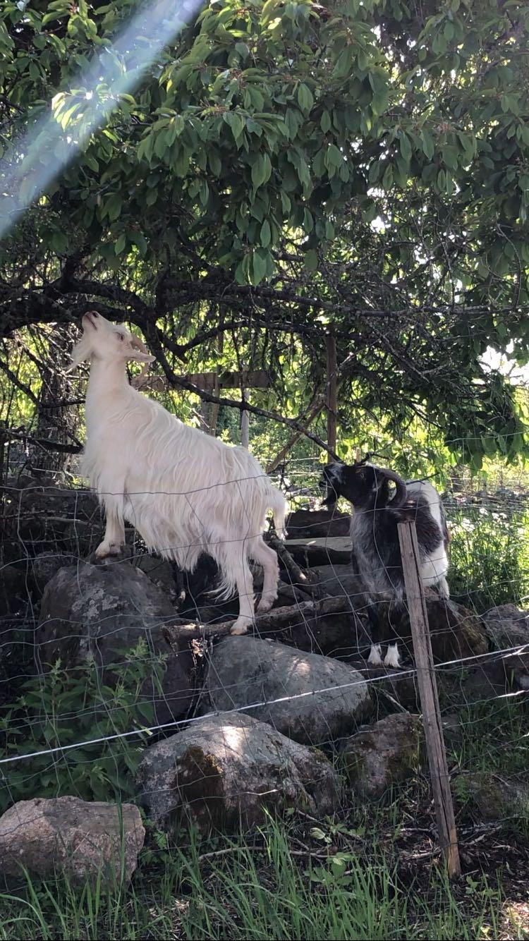 Hemma på Hult, Tranås, Sweden