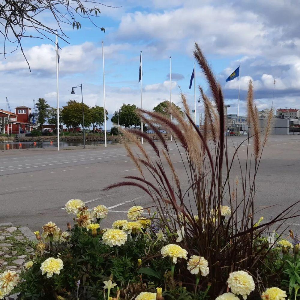 Brädholmen Ställplats, Oskarshamn, Sweden