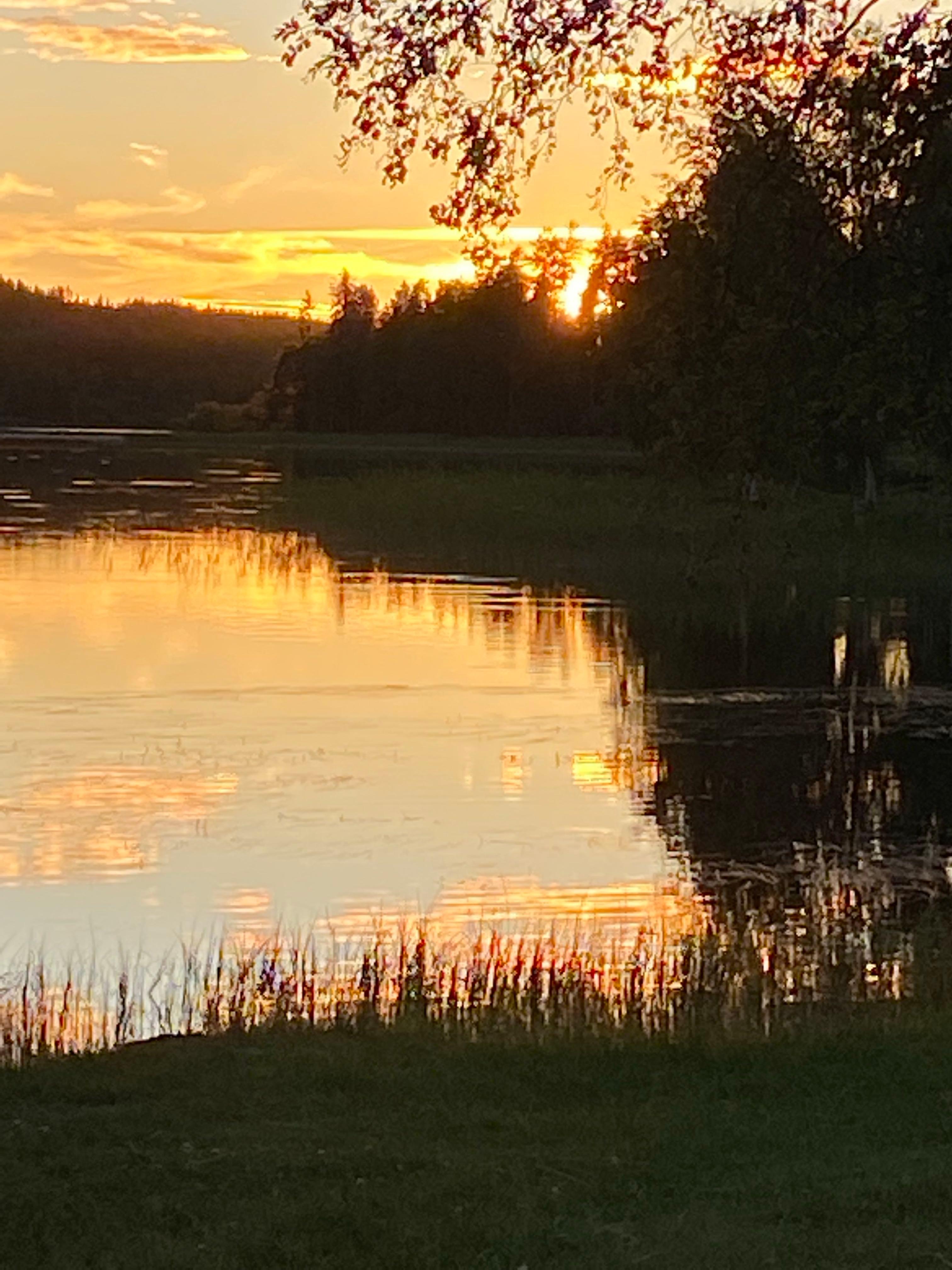 Värmlands Sjö och Fjäll Camping, Torsby, Sweden
