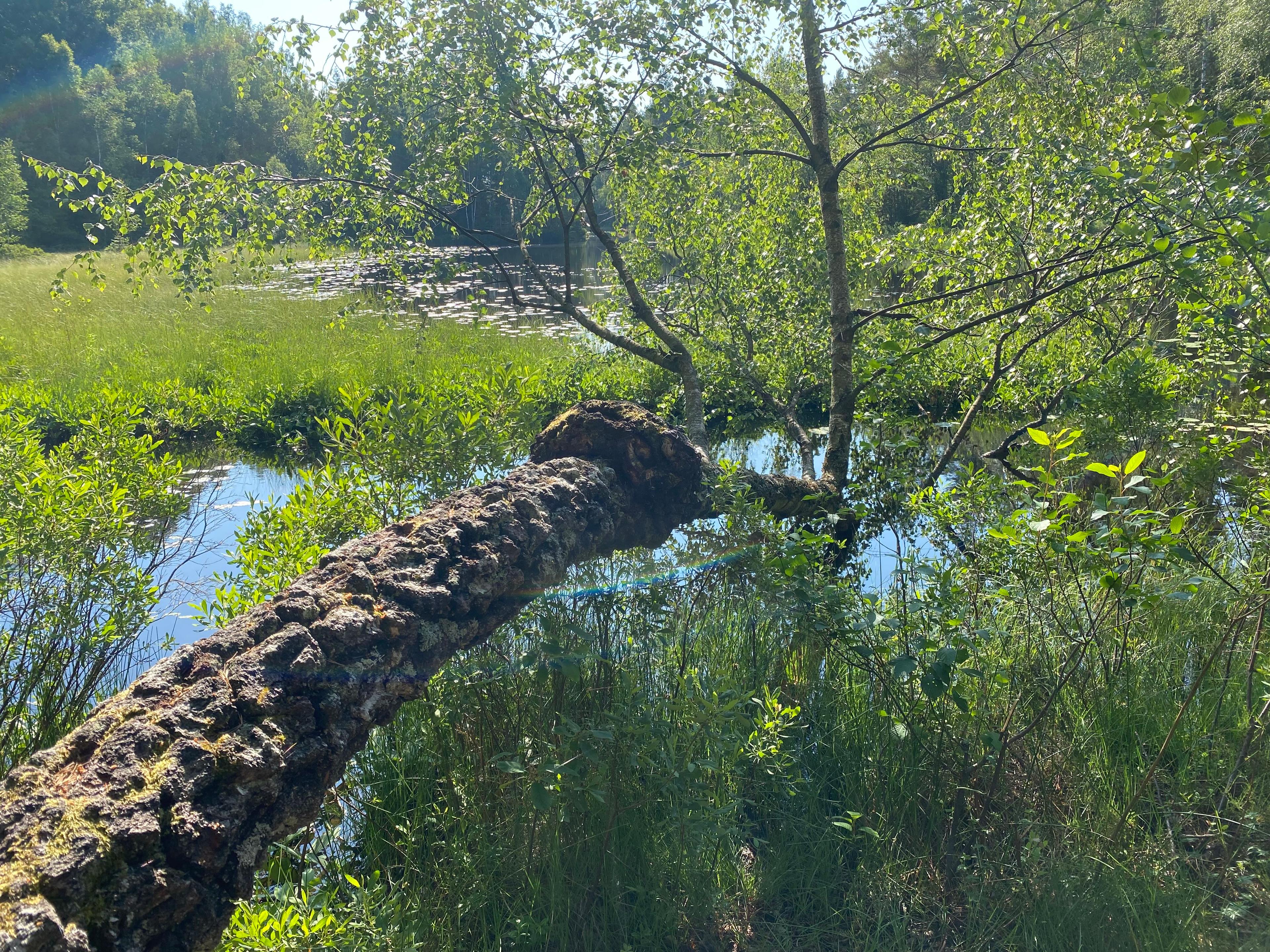 Orrefors Camping, Orrefors, Sweden