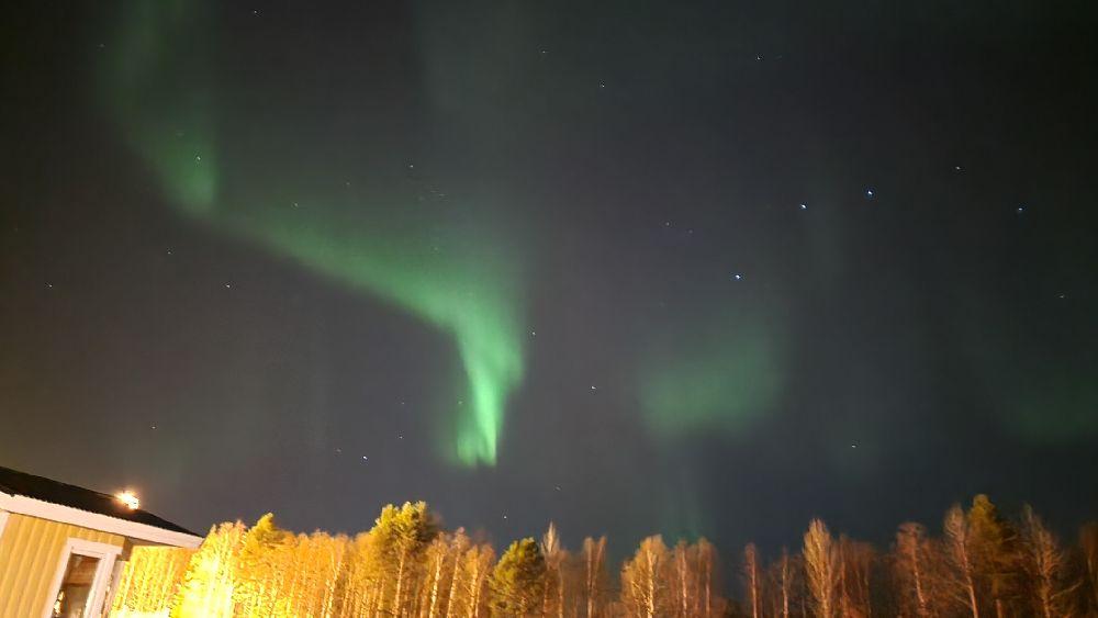 Notviken/Mjölkudden Roger: 070-2335557, Luleå, Sweden