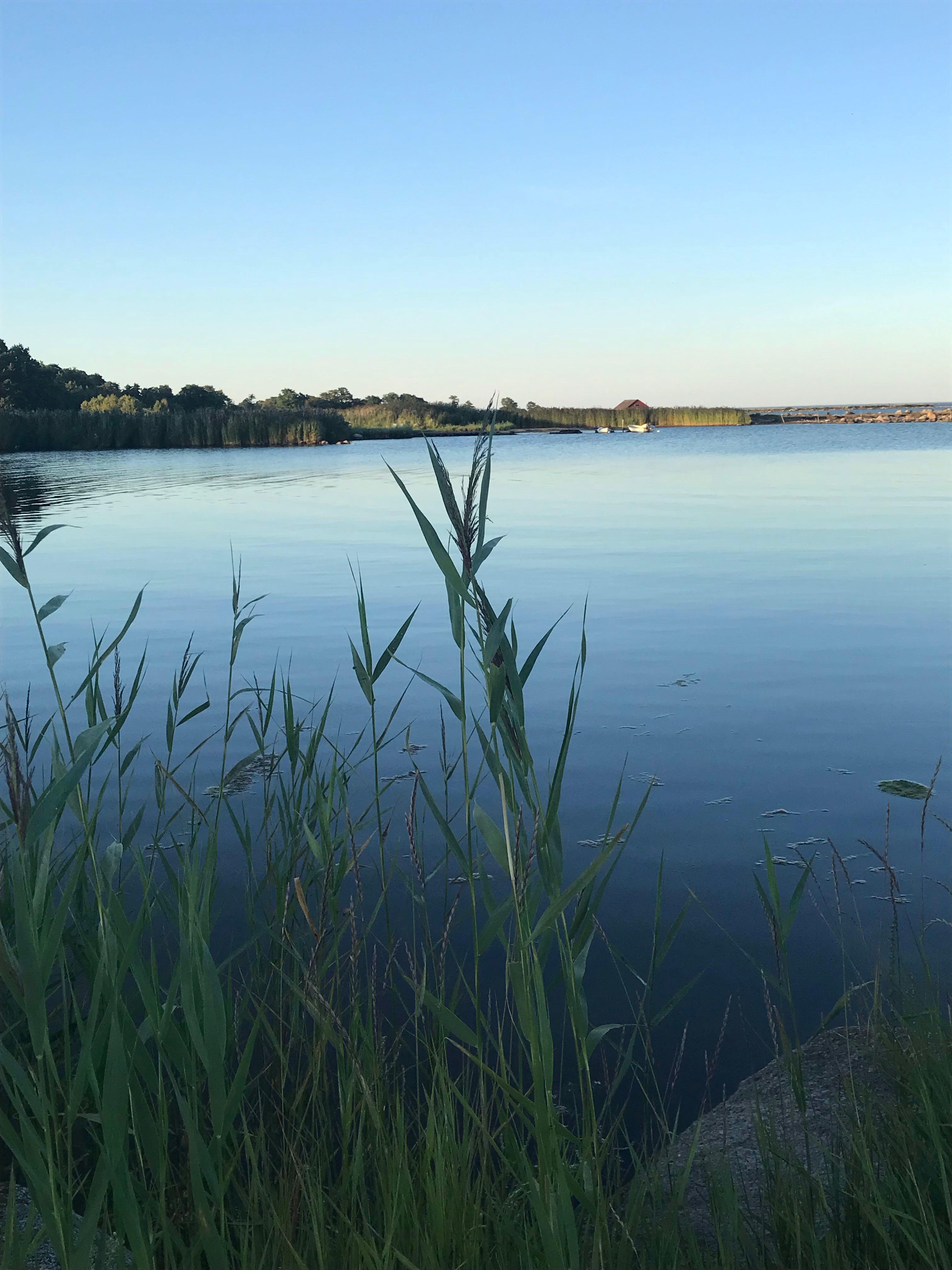 Björkenäs camping, Björkenäs, Sweden