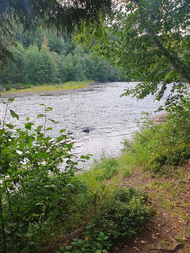 Hyngelsböle vildmarkscamp, Hyngelsböle, Sweden