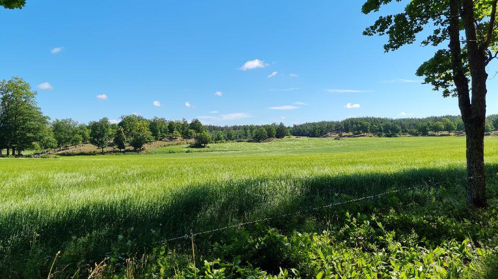 Gamleby Ridklubb, Gamleby, Sweden