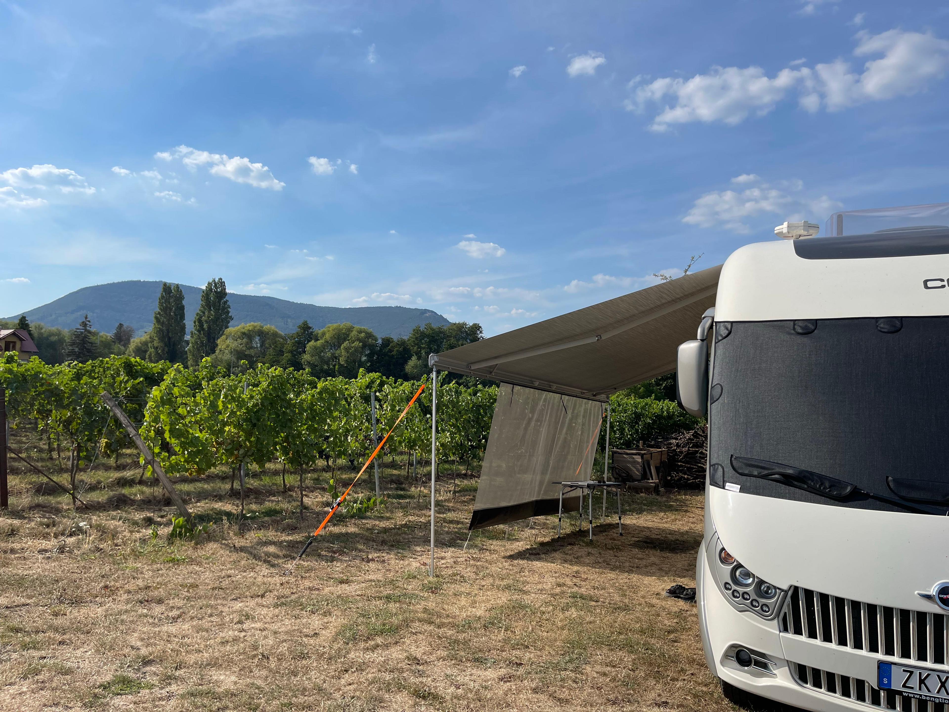 Weingut Rainer Boos, Edesheim, Germany