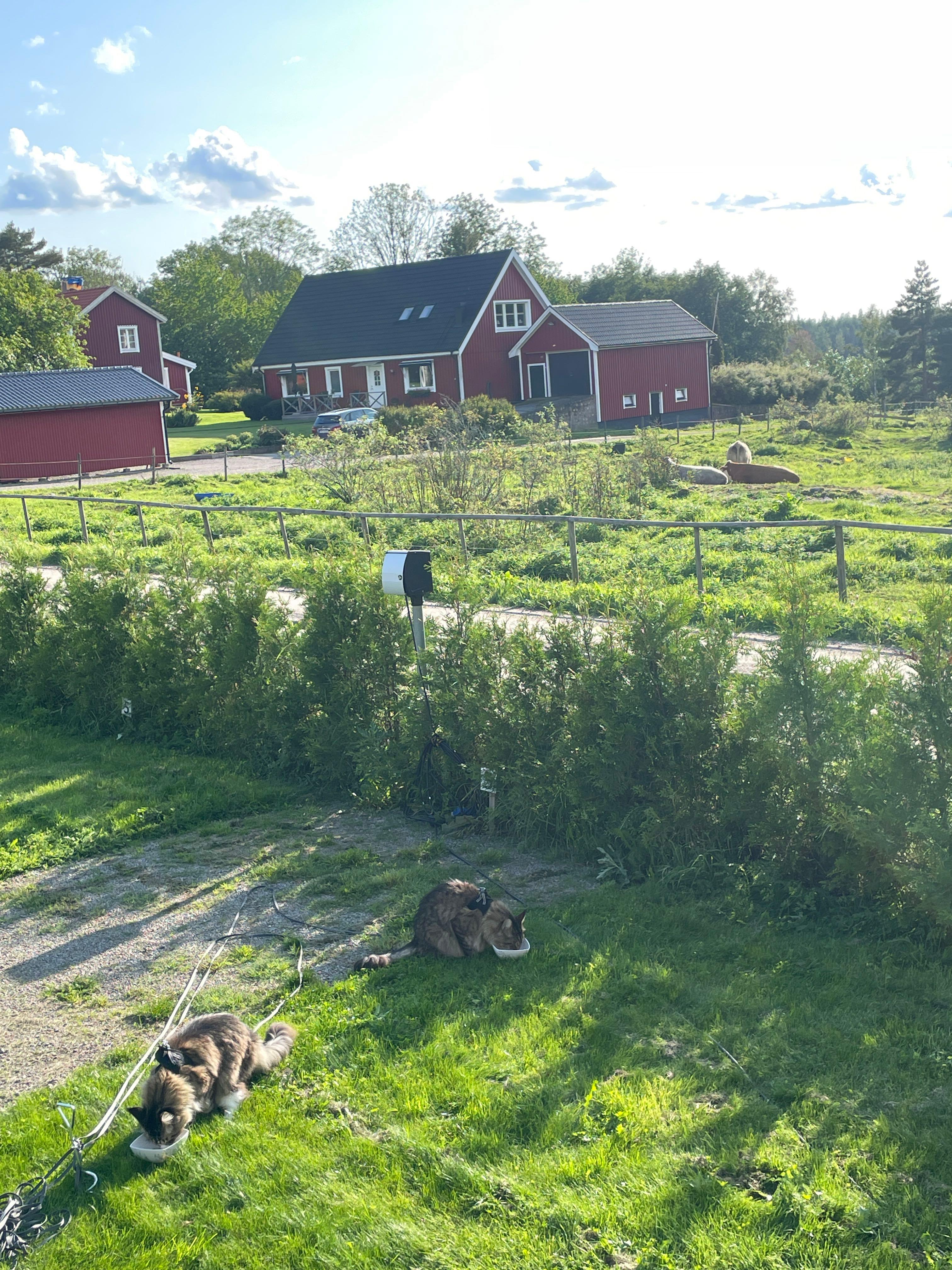 Boaryd Golf, Hult, Sweden