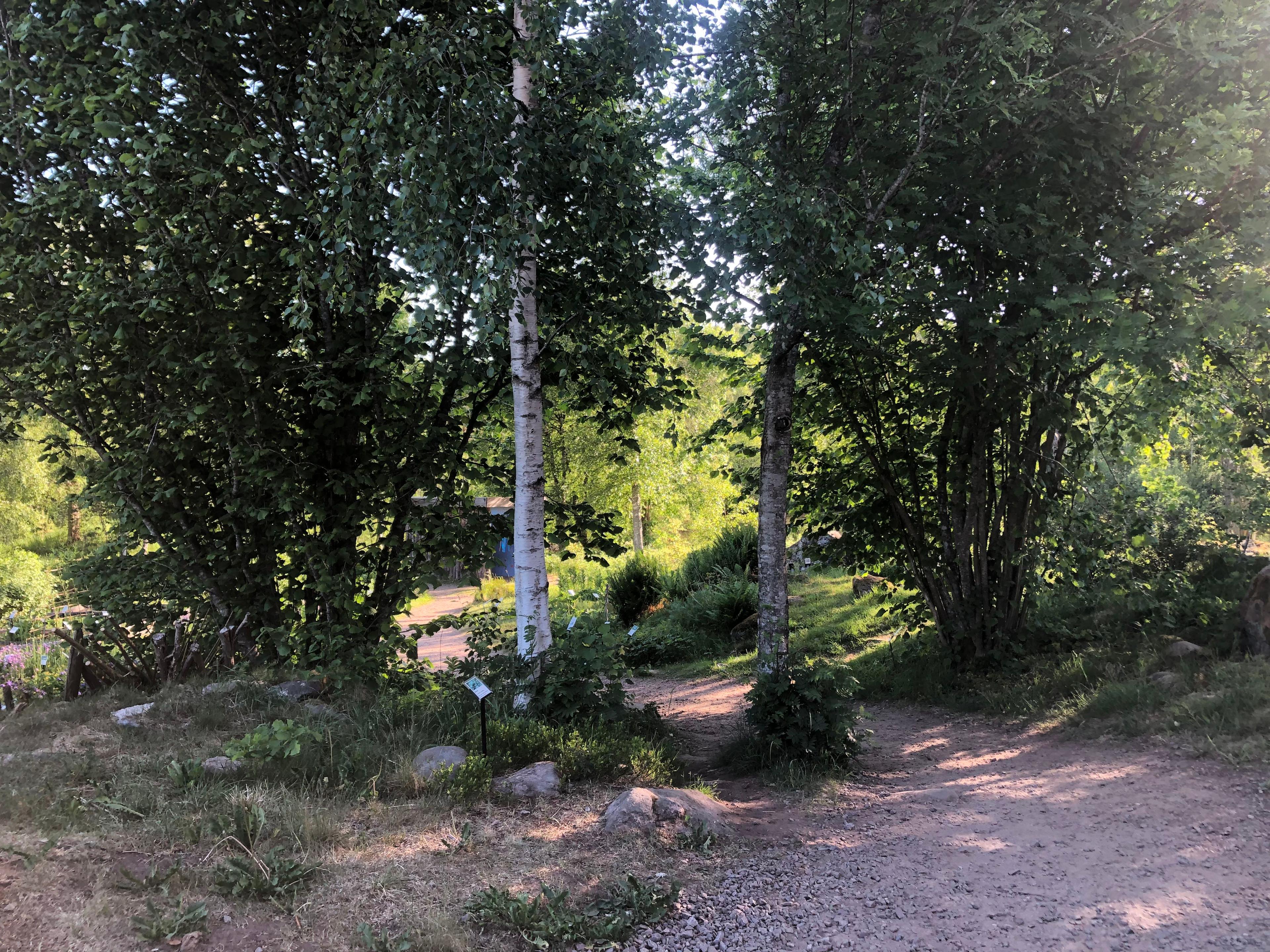 Ekehagens forntidsby, Kinnarp, Sweden