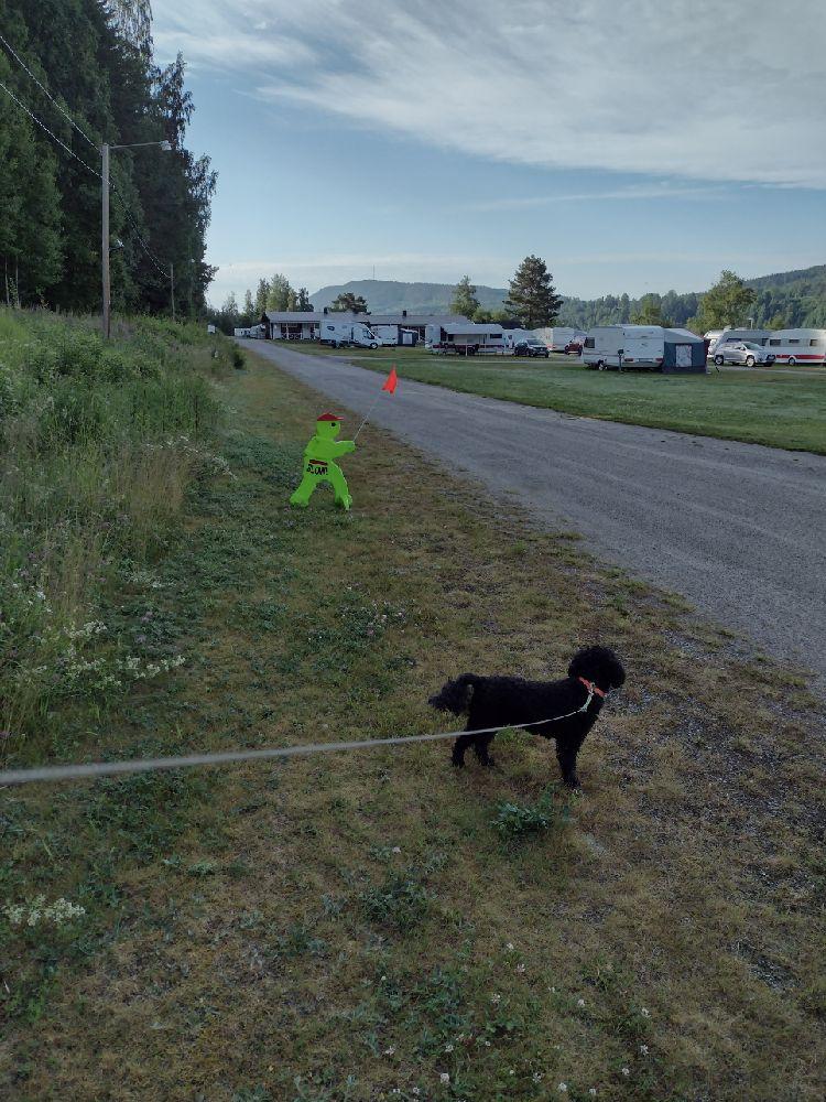 Kävstabrons camping, Sundsvall, Sweden