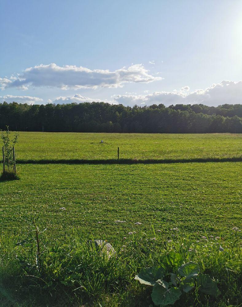 Ruda Gård, Vingåker, Sweden