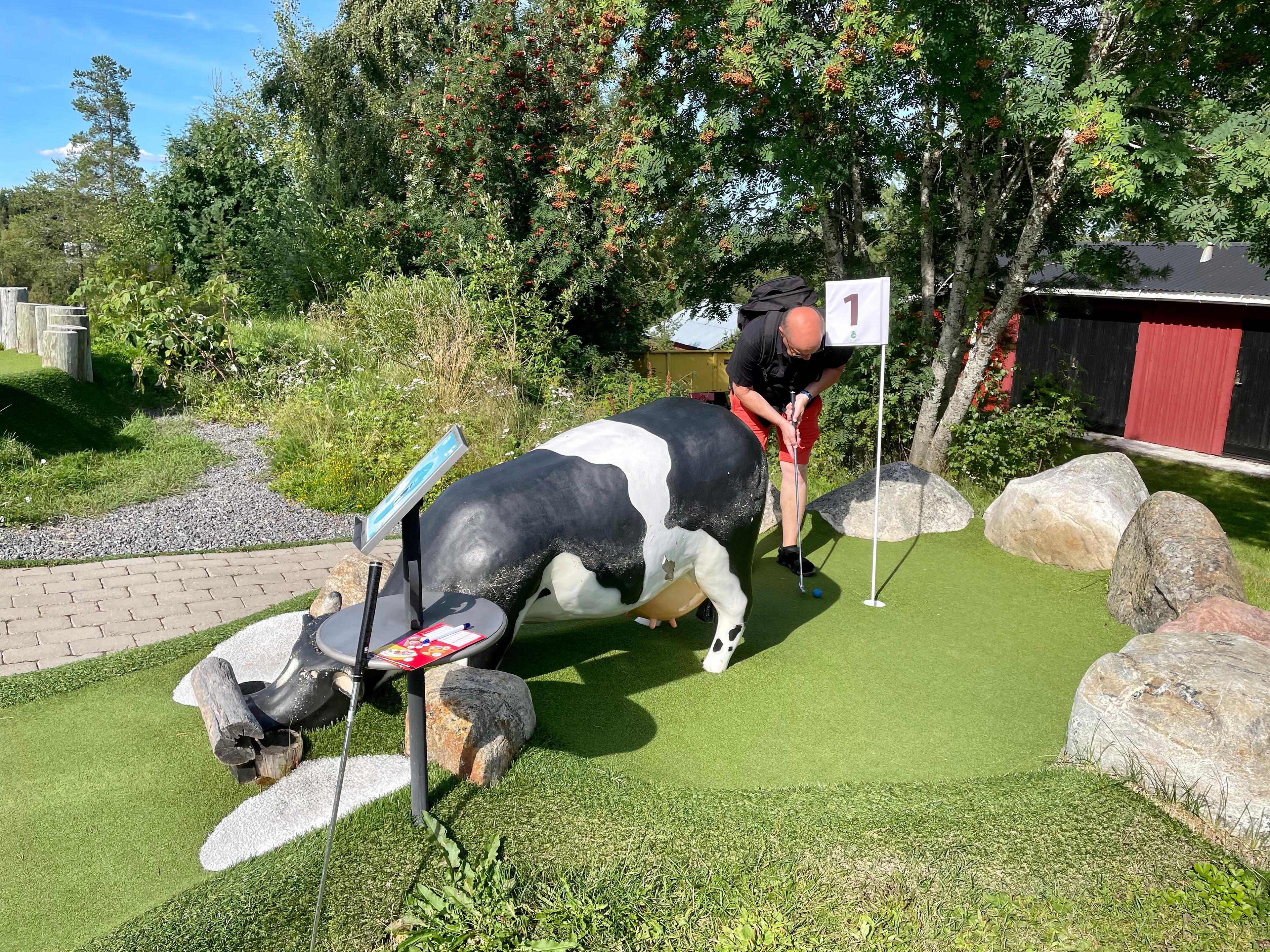 Lufta Camping, Ånäset, Sweden