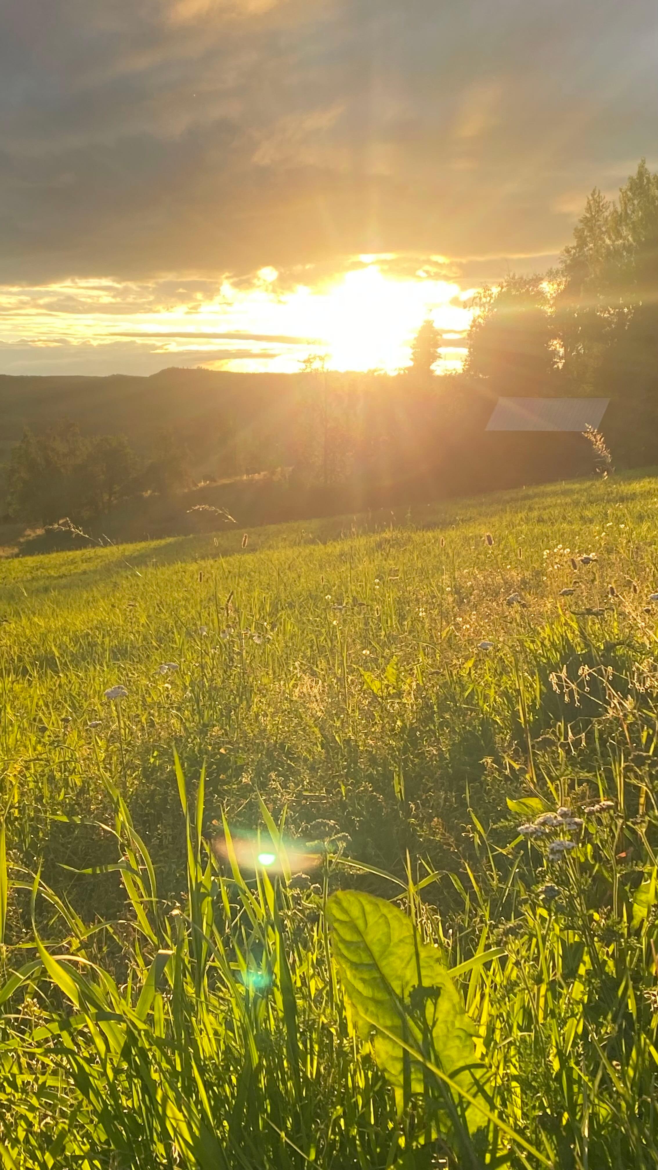 Kvarnsjö Camp, Åsarna, Sweden
